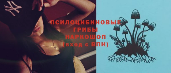 стаф Алексин