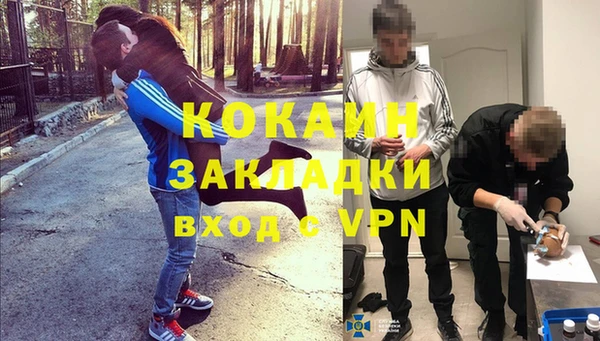 ешки Бикин