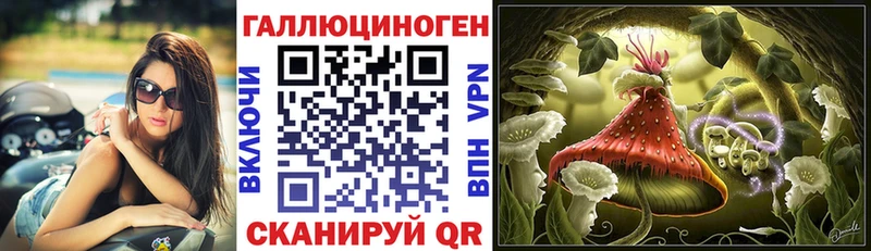 Галлюциногенные грибы прущие грибы  Анадырь 